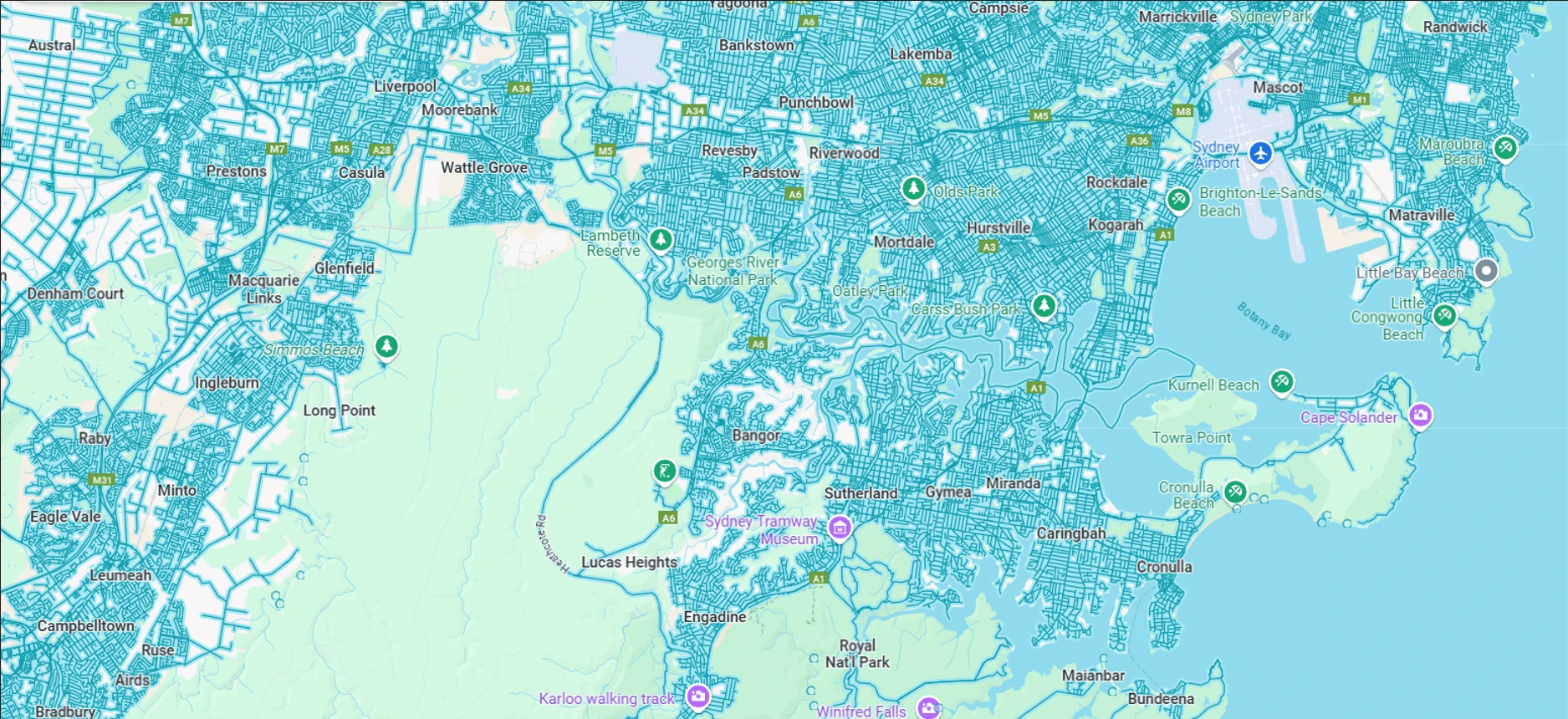 Bayside Council
Burwood Council
Canterbury-Bankstown Council
Campbelltown City Council
Fairfield City Council
Georges River Council
Inner West Council
Liverpool